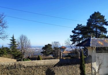 Randonnée Marche Saint-Cyr-au-Mont-d'Or - le mont cindre - Photo