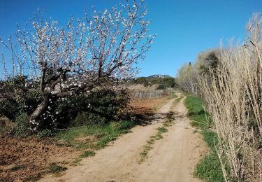 Tocht Stappen Aubignan - les côtes de st Hippolyte 84 - Photo