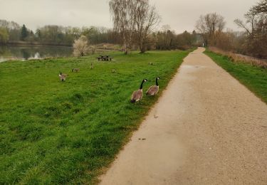 Percorso Marcia Saint-Michel-sur-Orge - Le long de l'Orge et de la Boëlle - Photo