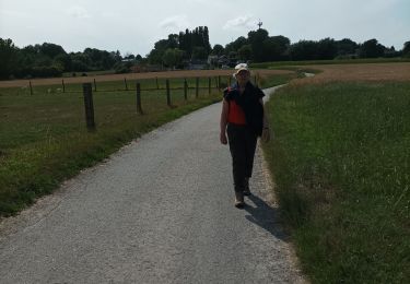 Tour Wandern Gooik - paddenbroek-kesterheide - Photo