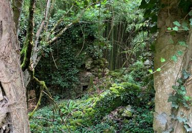 Trail Walking Bruniquel - Bruni quel - Photo