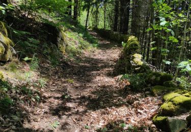 Tocht Stappen Saint-Julien-d'Intres - dolce via autour d'intres - Photo