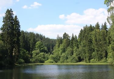 Randonnée A pied Harz (LK Goslar) - Großer Rundweg Hohegeiß - Photo