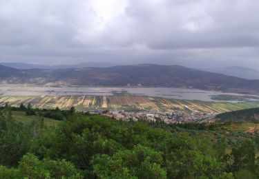 Excursión A pie מועצה אזורית גליל תחתון - דרך נוף יער טורען - Photo