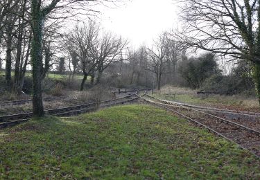 Randonnée A pied Médréac - Médréac - vallée du Néal - Photo