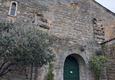 Excursión Senderismo Cendras - Vallée du Galeizon et crétes de Moncalm - Photo