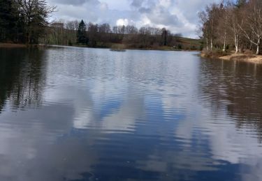 Tour Wandern Saint-Nabord - la demoiselle  - Photo