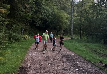 Percorso sport Rochesson - Rochesson rando nocturne  - Photo
