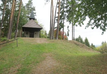 Tocht Te voet Schnaittenbach - Rundwanderweg Buchberg - Photo