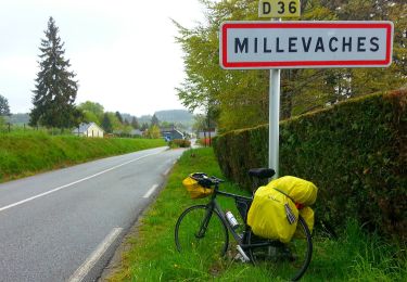 Trail On foot Millevaches - Sentier du puy des Pouges - Photo