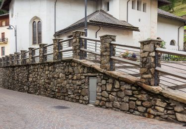 Percorso A piedi Peio - Sentiero attrezzato del Vioz - Photo