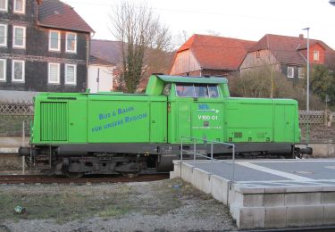 Percorso A piedi Einbeck - Dicke Buchen Weg - Photo