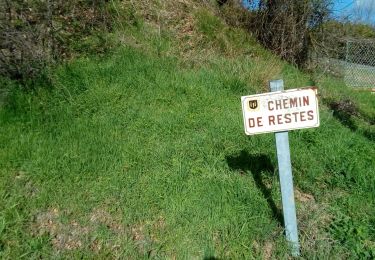 Trail Walking Vallesvilles - 18/02/20 - Photo