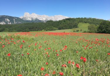 Trail Walking Avignonet - Avignonet La Mairie - St Martin de la Cluze - Photo