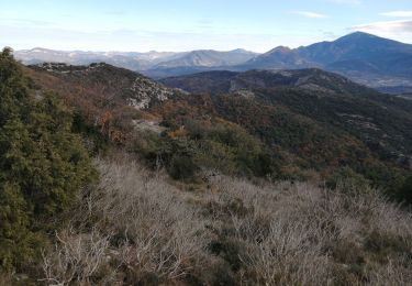 Trail Walking Sablet - le saint amand et prebayon - Photo