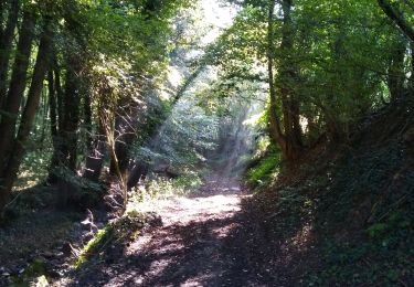 Excursión Marcha nórdica Neupré - plainevaux - Photo