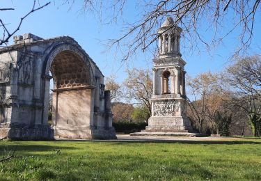 Tour Wandern Saint-Rémy-de-Provence - CR_Domitia_BB_24_St-Remy-Provence_Orgon_20220405 - Photo