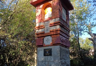 Trail Walking Plan-d'Aups-Sainte-Baume - Col de Bertagne, tour de Cauvin depuis Plan d'Aups Ste Baume - Photo