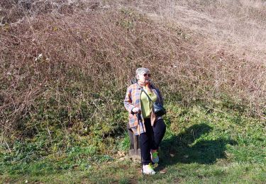 Trail Walking Montmédy - montmedy sentier des songes - Photo