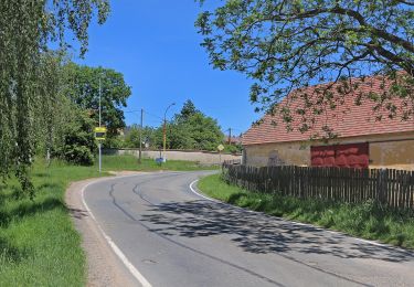 Tocht Te voet Obory - Žlutá značka Vrchy-Žebrák - Photo