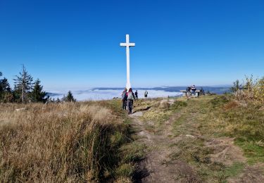 Trail Walking Gerbamont - Contonne - Haut du Roc - Photo