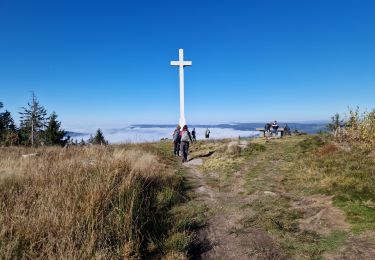 Tocht Stappen Gerbamont - Contonne - Haut du Roc - Photo