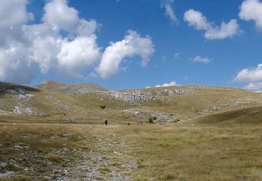 Trail On foot  - Glavaš-Dinara_brezovac - Photo