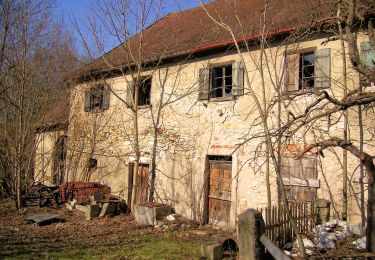 Tocht Te voet Maxhütte-Haidhof - Sauforstrunde (Lila 9) - Photo