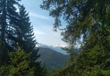 Percorso Marcia Allevard - boucle le nid d'aigle, la maison forestière  - Photo