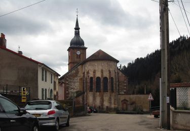 Tour Zu Fuß Celles-sur-Plaine - Sentier des Sources - Photo