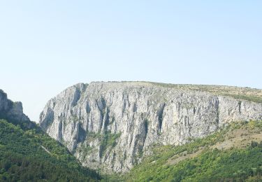 Excursión A pie Turda - Turda - Săndulești - Cabana Cheile Turzii - Photo