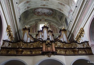 Excursión A pie okres Senica - Náučný chodník Gazárka – Lásek - Photo