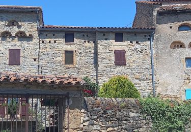 Randonnée Marche Saint-Georges-de-Luzençon - Au long du Tarn: de St-Georges-de-Luzençon à St-Rome-de-Tarn - Photo