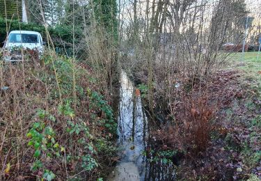 Tour Zu Fuß Bendestorf - Jesteburg Wanderweg 18 - Photo