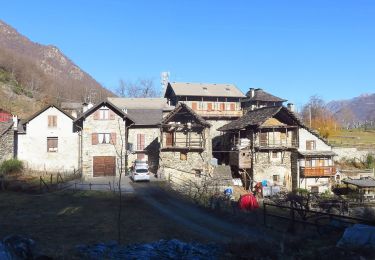 Trail On foot Pieve Vergonte - A49 - bivio A47 La Crosa - Casa Fontàn - Photo