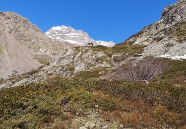 Trail Walking La Chapelle-en-Valgaudémar - Refuge de Charbournéon.  - Photo