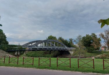 Tocht Stappen Léry - 20220920 Lery - Photo