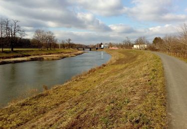 Percorso A piedi Břeclav - NS Pohansko - Photo