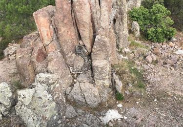 Tour Wandern Fréjus - JD 18/20 Ascension du mont Vinaigre - Photo