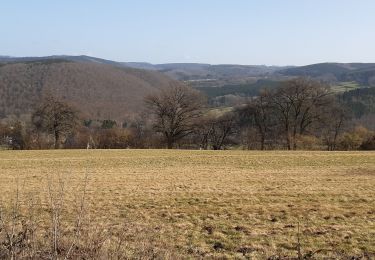 Excursión Senderismo Érezée - mormont ac à ma façon  - Photo