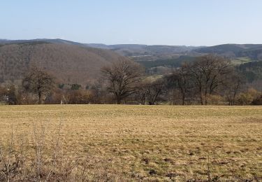 Randonnée Marche Érezée - mormont ac à ma façon  - Photo