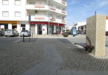 Tocht Te voet São Brás de Alportel - Passeio no vale por caminhos de almocreves (Trilho da Várzea da Cova) - Photo