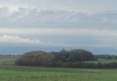 Randonnée Marche Lasne - Tout de Lasne  - Photo