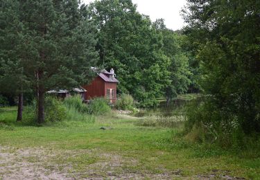 Percorso A piedi Nové Hrady - NS Novohradské příhraniční rybníky - Photo