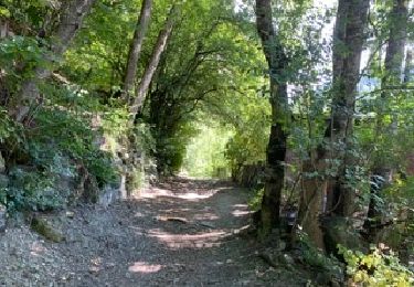 Trail Walking Landry - Landry... Circuit des Poussettes - Photo