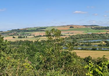 Trail Walking Dieulouard - Dieulouard - Photo