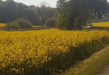 Trail Walking Chermignac - chermignac retau - Photo