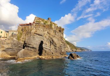 Tour Zu Fuß Riomaggiore - sejour-cinq-terres-journee-5-de-riomaggiore-a-portovenere - Photo