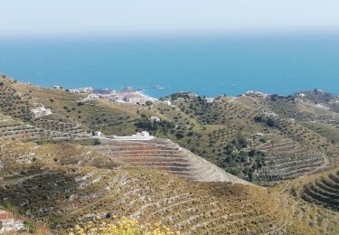 Randonnée Marche Almuñécar - Hauts de Almuñecar  - Photo