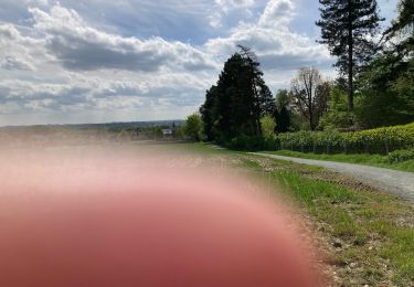 Tocht Elektrische fiets Gulpen-Wittem - Opname 1/5/24 - Photo